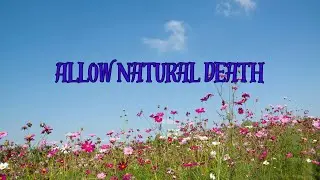 Choosing Hospice is Allowing Natural Death