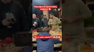 Персидский Дагестанец ПЕРЕБРАЛ и его понесло! 💥
