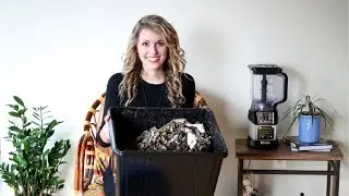 What can you do to reduce your environmental impact