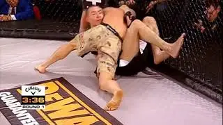 MMA fight R. Turner vs R. Chau