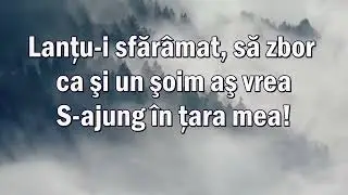 Lacrimile de durere Negativ creștin cu versuri 2025