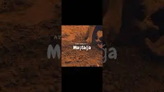 Azər Gəncəli-Maştağa 2025