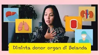 CERITA TENTANG DONOR ORGAN