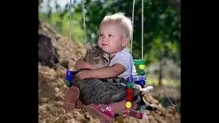 😺 Самое позитивное видео про кошек! 🐈 Видео смешных котов и котят для хорошего настроения! 😻