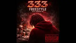 D N B Robert: 333 Freestyle (Prod.CashMoneyAP)