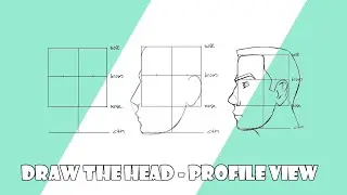 How to draw the head for beginners! | Profile View