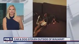 Police investigating after car stolen from Walmart parking lot with dog inside