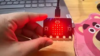 Stay Safe Online: Rakshabit For Students #microbit #cybersecurity #staysafe #project #hardware 