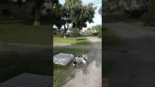 IRA, ENOJO, MAL HUMOR, SON MALAS FORMAS DE BAJAR NUESTRO ESTRES