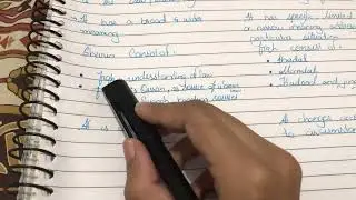 Sharia and fiqh  , difference between sharia and fiqh Islamic jurisprudence #notes #law #study #easy