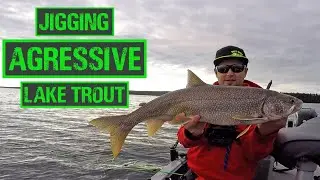 How To Trigger MORE Bites Jigging For Lake Trout!!