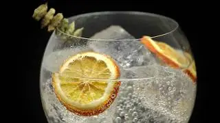 Gintonic de The BOTANICAL'S London Dry Gin