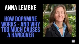 How dopamine works - and why too much causes a hangover | Anna Lembke #dopamine #science #shorts