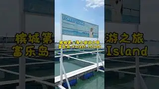 Friend from Taiwan visited Forest Island 🇹🇼Sea activities, BBQ & have 🏝️Fun at #forestisland 🐬🐬