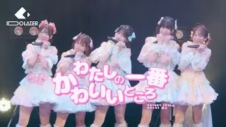 【楽曲交換 LIVE映像】IDOLATER「わたしの一番かわいいところ」 Live at ヒューリックホール東京 (2023.8.22)