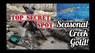 Seasonal Creek Gold 