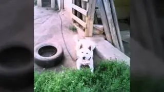 Title сладшоу мои лётные фото