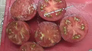 О сортах томатов ТЁМНЫЙ ТИГР