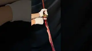 Elden Ring River of Blood IRL #unboxing #katanasamurai  #eldenring #eldenringgameplay #eldenringdlc