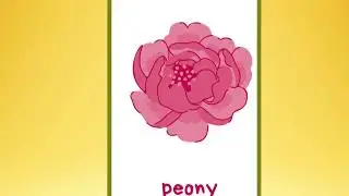 Science - G.K.-names of various flowers-different types of flowers with pictures-for kids of nursery