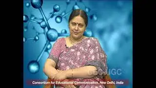 Kinetic Theory of Gases - IV