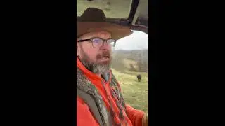 Running the back hills of the farm to find some new calves!