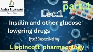 Insulin and Oral Hypoglycemic Drugs|Type 2 Diabetes| Part 1 | Lippincott Pharmacology