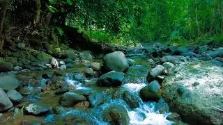 Mountain River Passage &ndash; Flowing Water for Deep Meditation & Calm