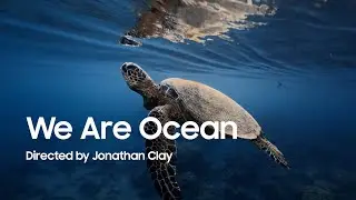 Filmed&nbsp;#withGalaxy&nbsp;S25 Ultra | 'We Are Ocean' by Jonathan Clay | Samsung