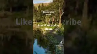 TikTok Why Are Christmas trees banned in mental hospitals