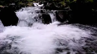 Sparkling River Flow | Mountain Stream Over Rocks for Relaxation Therapy
