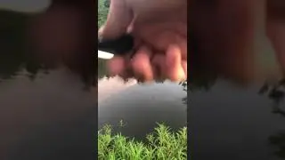 No luck fishing