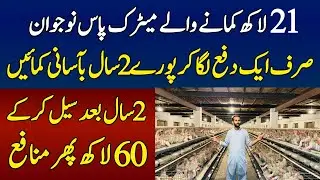 How To Start Layer Farming In Pakistan