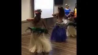 Island Travel Party Cairns