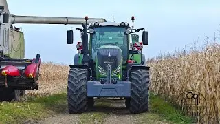3x Fendt | Jesienne Prace Polowe 2021