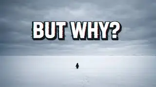 The Mystery of Viral Penguin Video