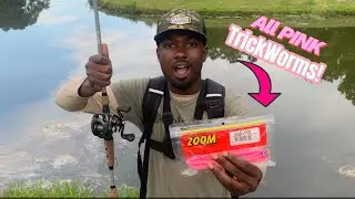 Bass Fishing with all PINK TRICK WORMS!