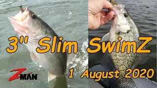 August BASS are Chasing 3
