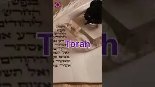 History of Torah in One Minute Shorts #shorts #torah