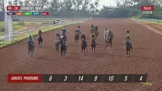 Live Hippodrome &laquo; KHEMISSET &raquo; Courses du &laquo; 14/01/2026 &raquo;