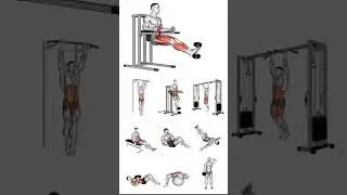 Transform Your Chest in 100 Days! 💪🔥 #FitnessGoals | F/AI: AI Gym & Fitness Trainer