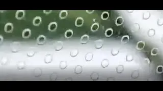Expert Engineer Installs Laser Micro-perforation Machine LIKE A PRO!