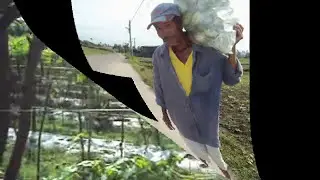 AGRICULTURAL SOCIETIES