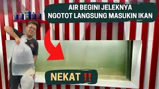 PAKSA‼️ LANGSUNG MASUKAN IKAN PREDATOR KE MEGATANK YANG BARU SELESAI UPGRADE DI MARKAS JAMM VLOG