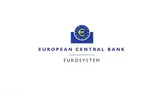 Financial Stability Review 2017 - Interview V&iacute;tor Const&acirc;ncio (ECB)