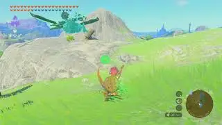 Faron Woods (Missable), Faron Grasslands | The Legend of Zelda: Tears of the Kingdom (NS)