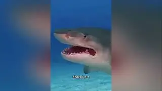 FUNNY MOMENTS #1 | TRY TO NOT LAUGH