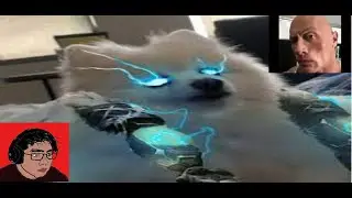 BEST AP VOLI GUIDE S12 (BUT YOUR IN CHAMP SELECT)