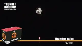 THUNDER TALES
