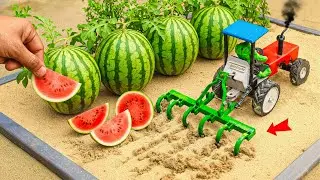 DIY Mini Tractor, Gold Filtering Machine & Catch Gold Thieves | Science Project